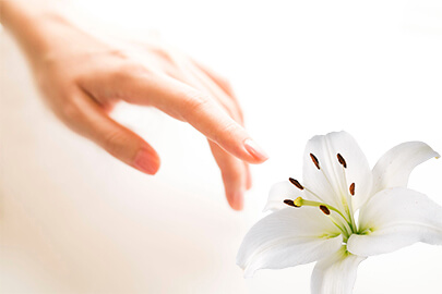 自治体や地域への貢献